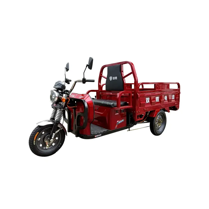 Electric cargo tricycle with a load bed